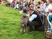 Grande Festa della Montagna e 6° Campionato Cani Pastore per Bovini - FOTOGALLERY